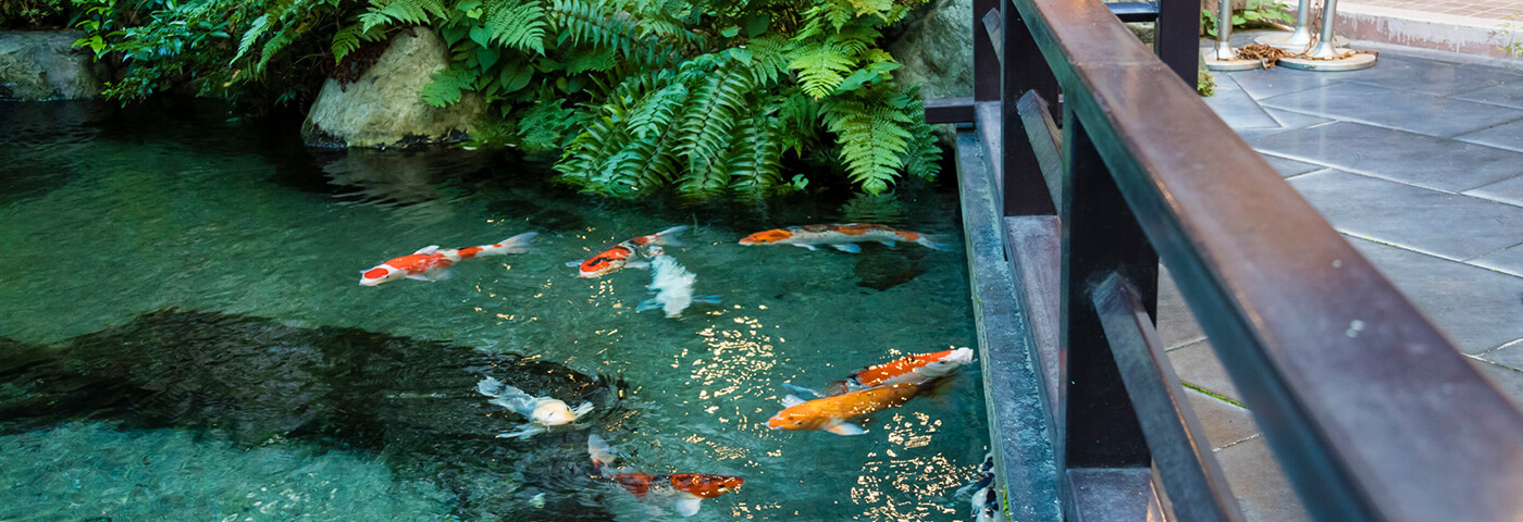 お探しのページが見つかりませんでした