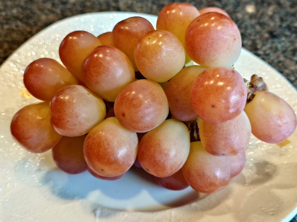 サンシャインレッド