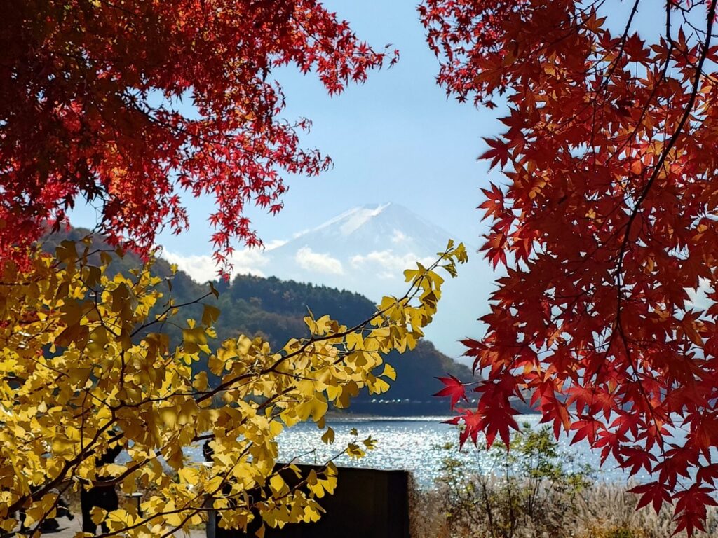 河口湖畔紅葉